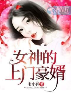 女神的上门豪婿百度百科