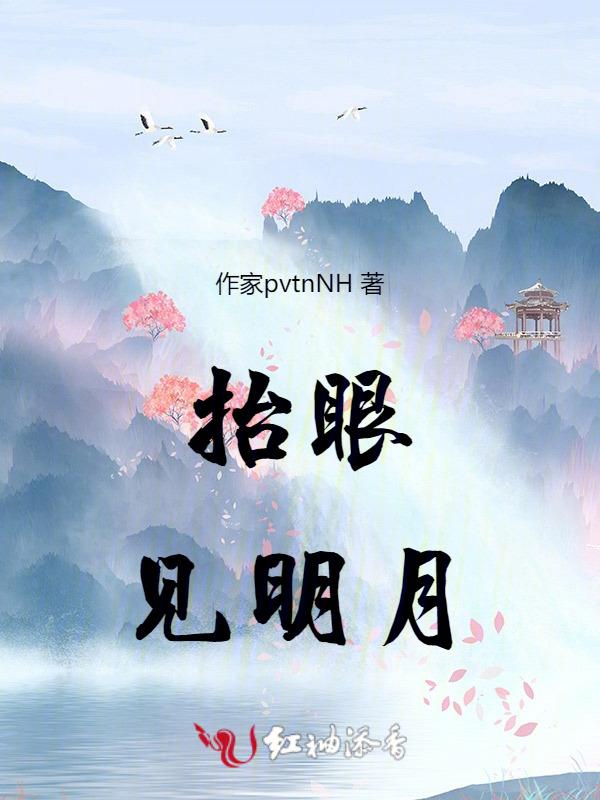 抬眼望去什么意思