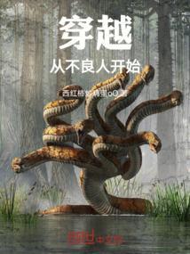 穿越到不良人的长篇