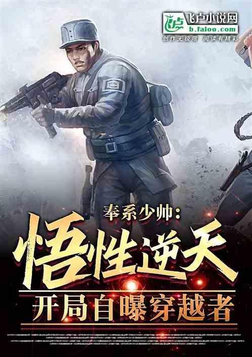 奉系军阀完本