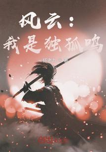 风云独孤无敌