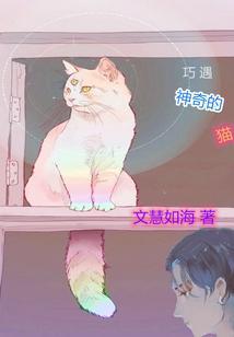 神奇的猫故事视频
