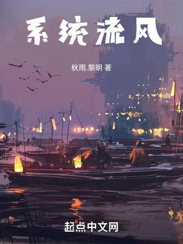 系统流简介