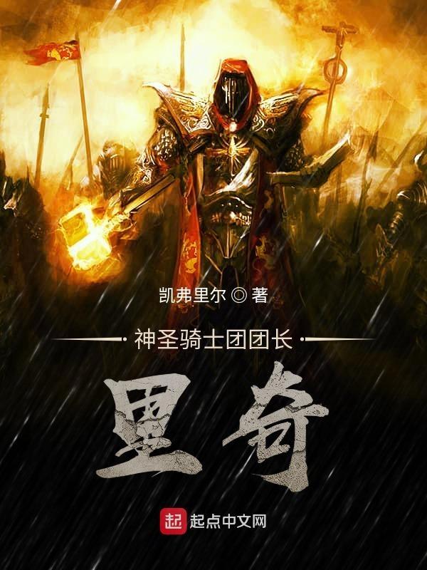 神圣骑士1