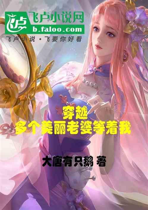 多个老婆免费阅读