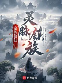 修真家族小灵脉
