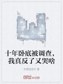 卧底十二年