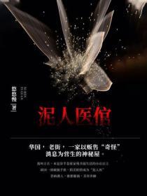 泥人作品全集txt
