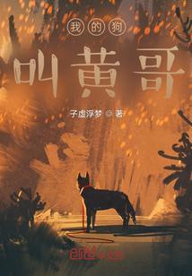 我的狗哥讲的什么