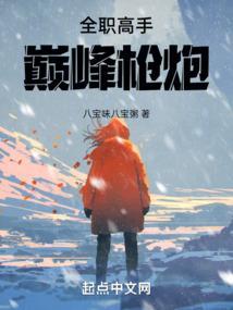 全职高手之巅峰荣耀百科