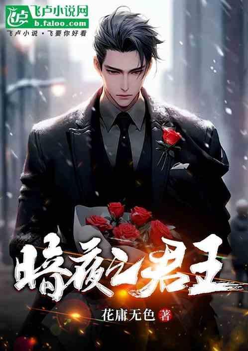 暗夜君王是什么境界