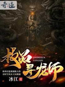极品寻宝王有声
