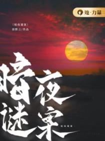 暗夜迷踪剧情细节