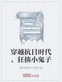 小伙穿越抗日时代