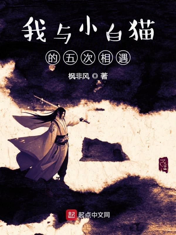 小白和猫