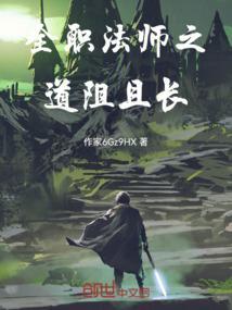 全职法师之全职者