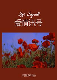 爱情讯号 番外