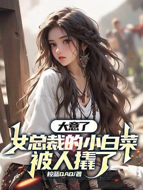 女总裁养小白脸