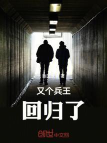 兵王回归于枫