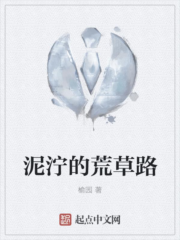 泥泞的路视频