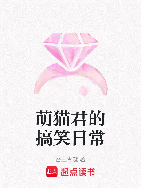 萌猫博主