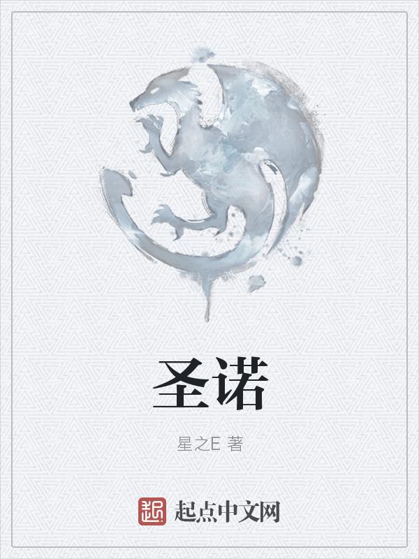 圣诺科技有限责任公司
