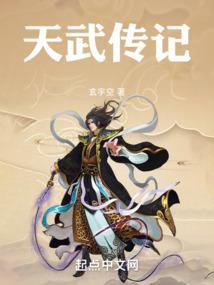 电视剧天武记