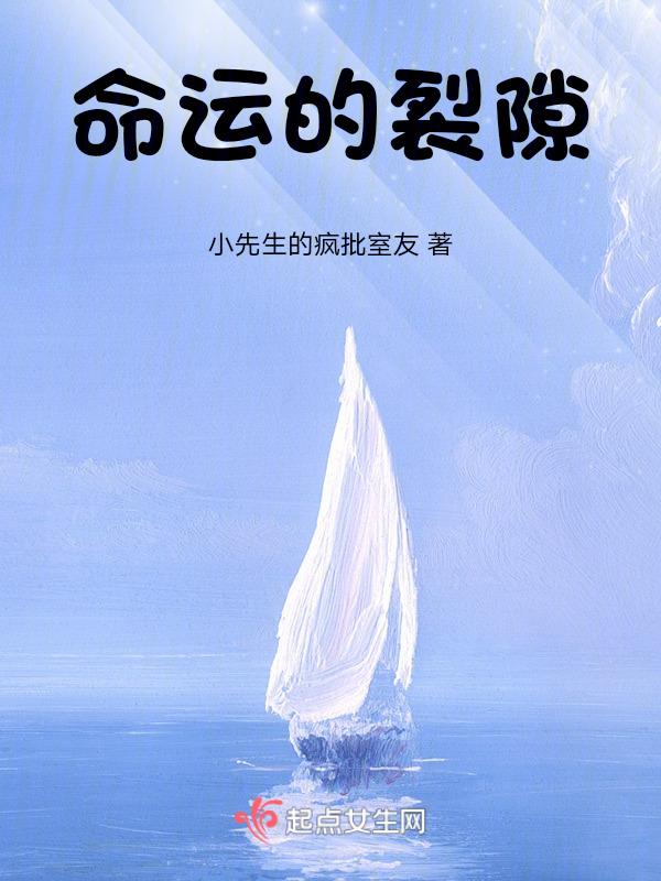 命运的碎片书籍