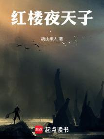 红楼夜话 全集