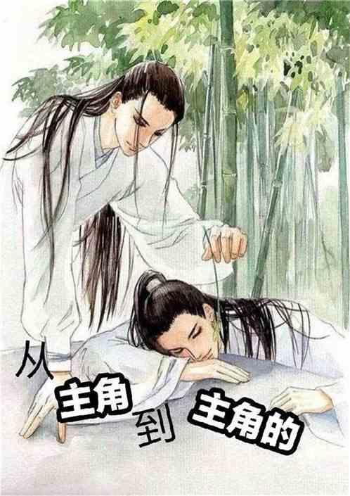 主角类型
