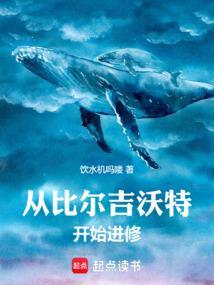 比尔吉沃特什么水平