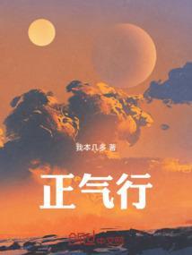 正气行修益寿丹
