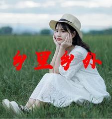 乡里乡外电话