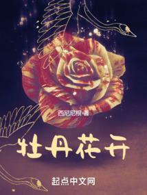 牡丹花开富贵寓意