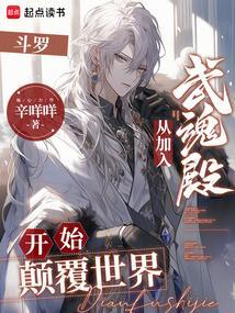 穿越斗罗加入武魂殿当圣女
