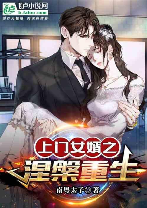 上门女婿全本