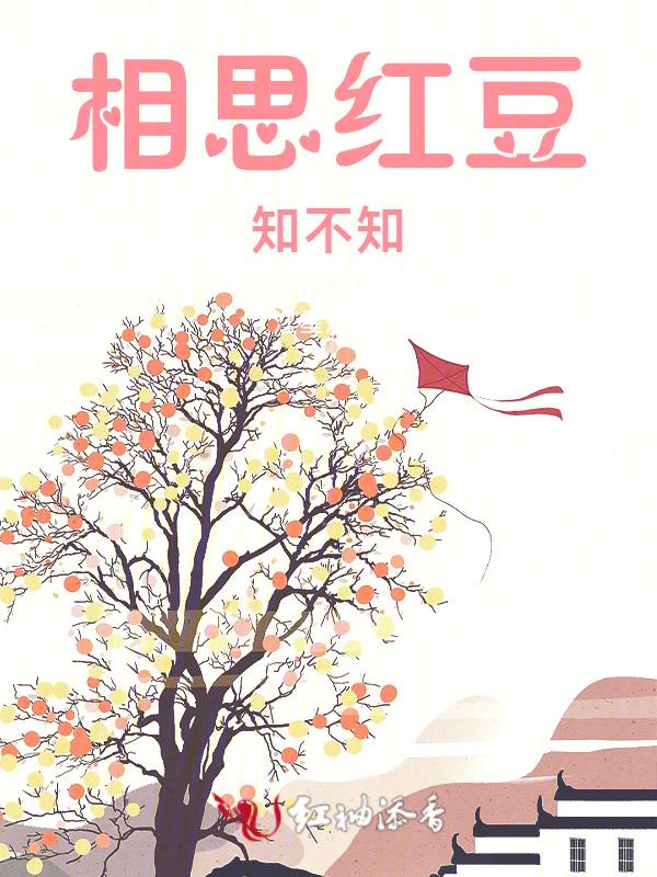 相思红豆歌词是什么意思
