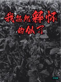 我突然释怀的笑歌词是什么歌