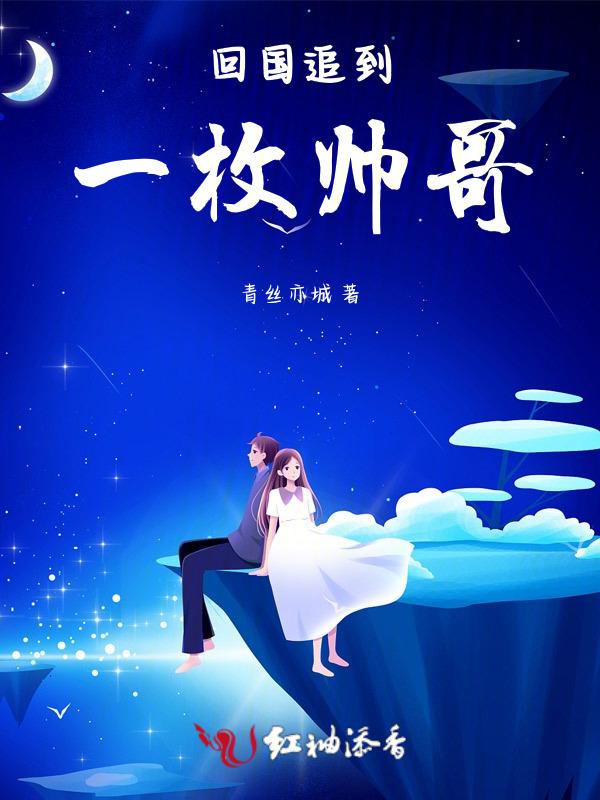 回国追妻