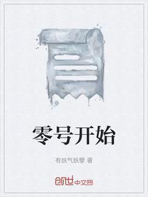 零号是啥意思