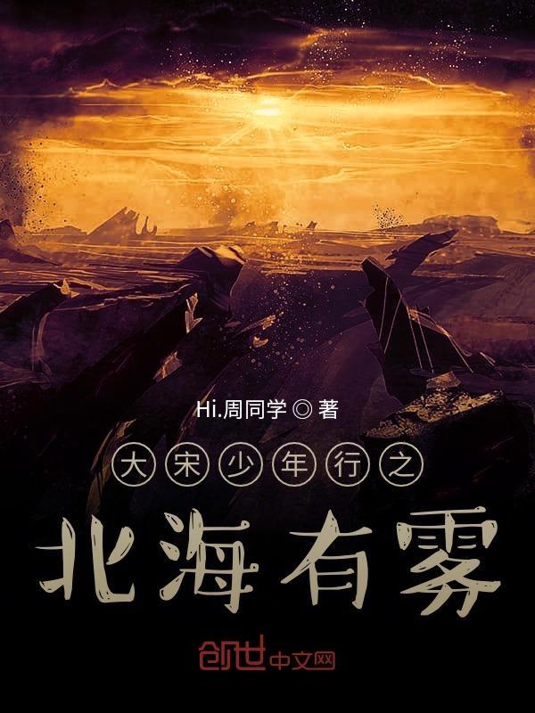 大宋少年志皇上
