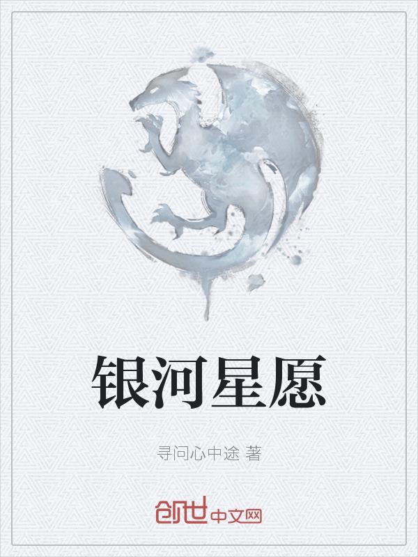 银河星愿参数配置