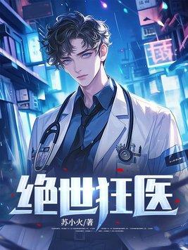 绝世狂医叶枫与林澜续集