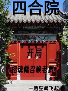 四合院我傻柱怒