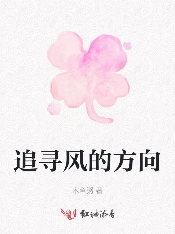 追逐风的自由是什么歌