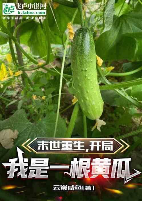 末世之我是
