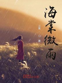 海棠微雨共归途好看吗