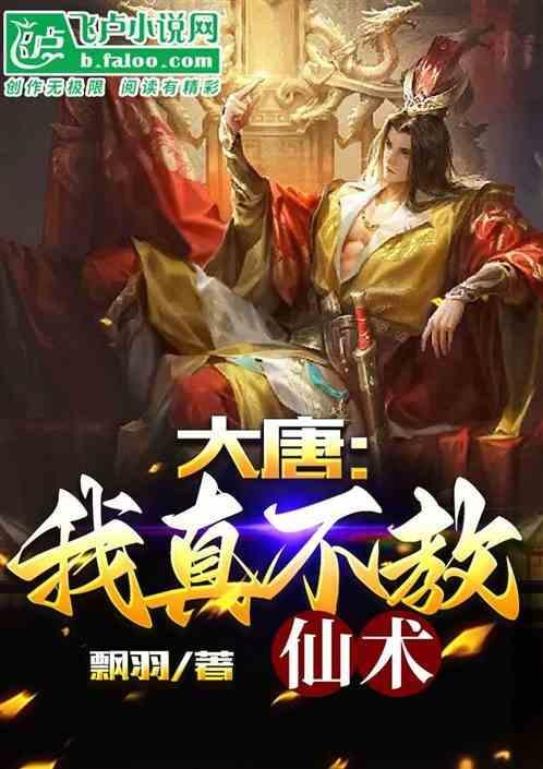 大唐我真不是大才子
