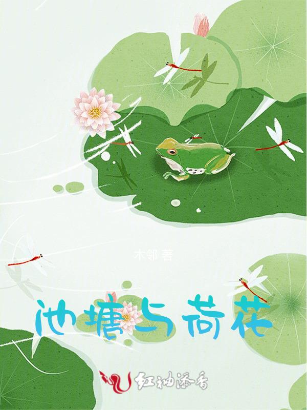 池塘荷花为什么不开花