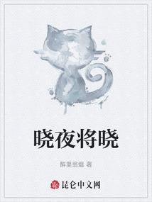 夜将去